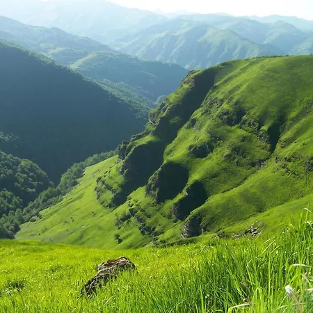 Iagonia Nyaraló