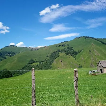 Nyaraló Iagonia *