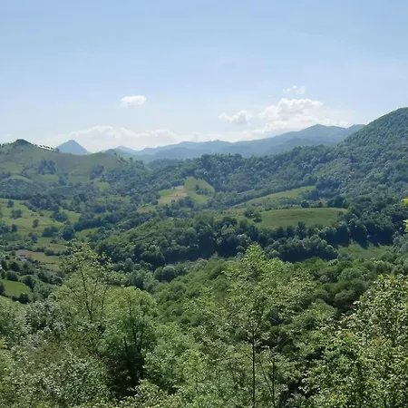 Iagonia Nyaraló *