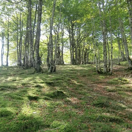 Iagonia Nyaraló